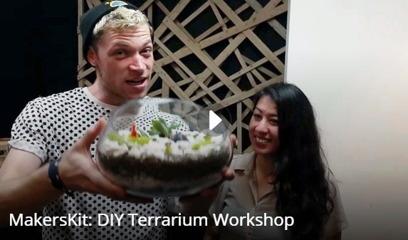 Check out our terarrium-making in action, dinosaurs, mimosas and all!